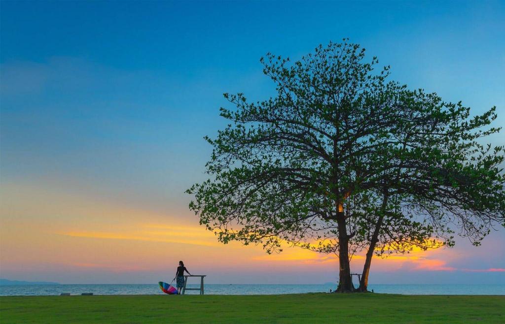 5 โรงแรมสุขภาพดีในนาจอมเทียน พัทยา: พักผ่อนเติมพลังอย่างสงบสบาย
